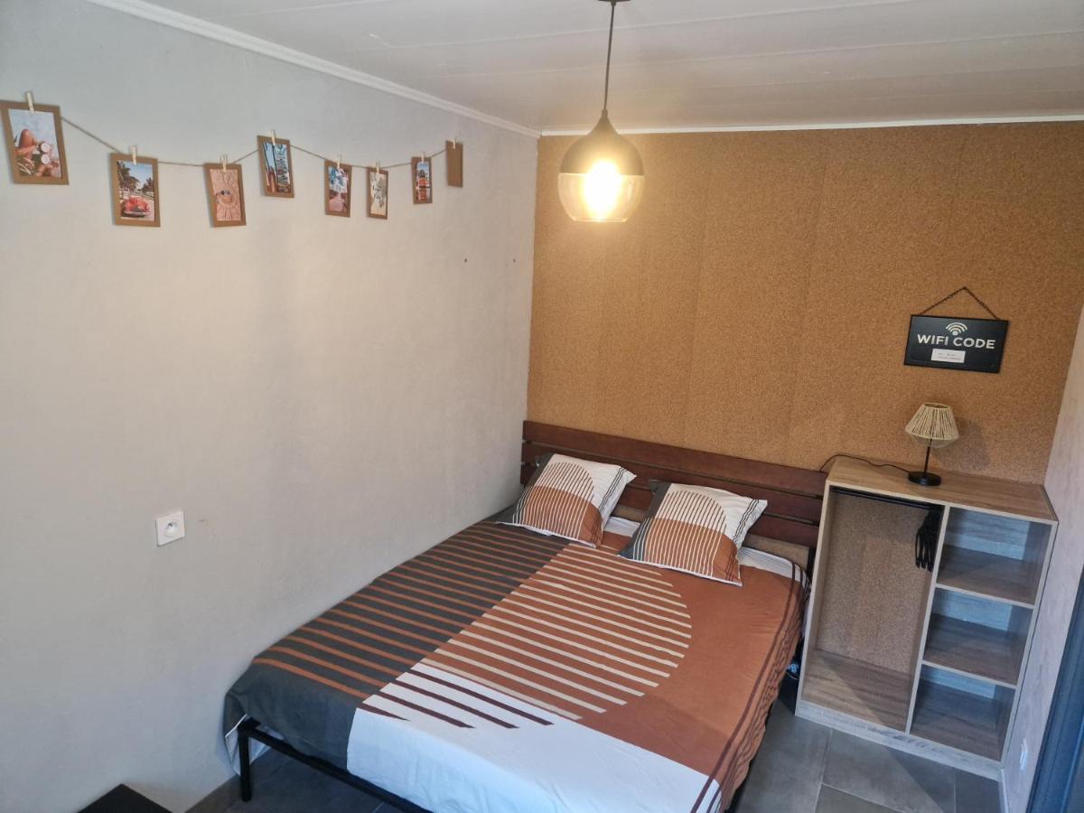 Appartement Independant Dans Maison Avec Jardinet, Au Calme Serezin-du-Rhone Екстер'єр фото