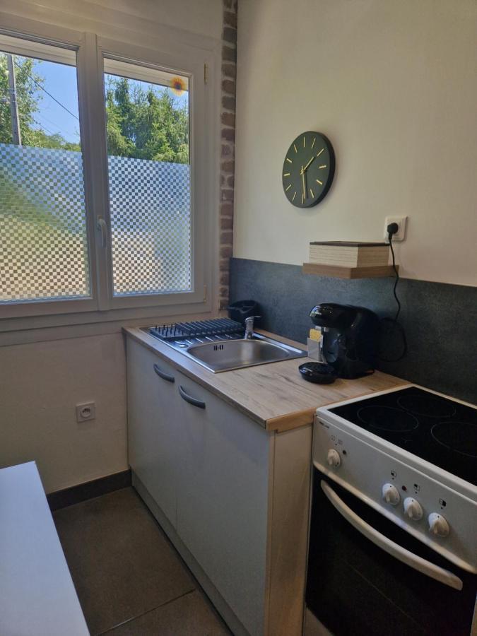Appartement Independant Dans Maison Avec Jardinet, Au Calme Serezin-du-Rhone Екстер'єр фото